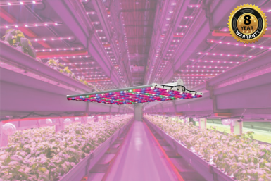 LED High Output Horticultural Lighting Category